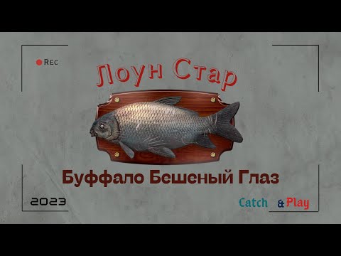 Видео: Буффало Бешеный Глаз | Fishing Planet [2023] #fishingplanet