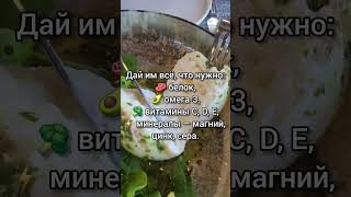 Хочешь узнать, чего не хватает именно тебе? #суставы #артрит #питание #питаниепосле60