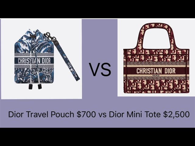 Dior Travel Pouch $700 vs Dior Mini Tote $2,500