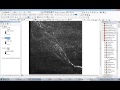 V15 using the reclassify tool in ArcMap