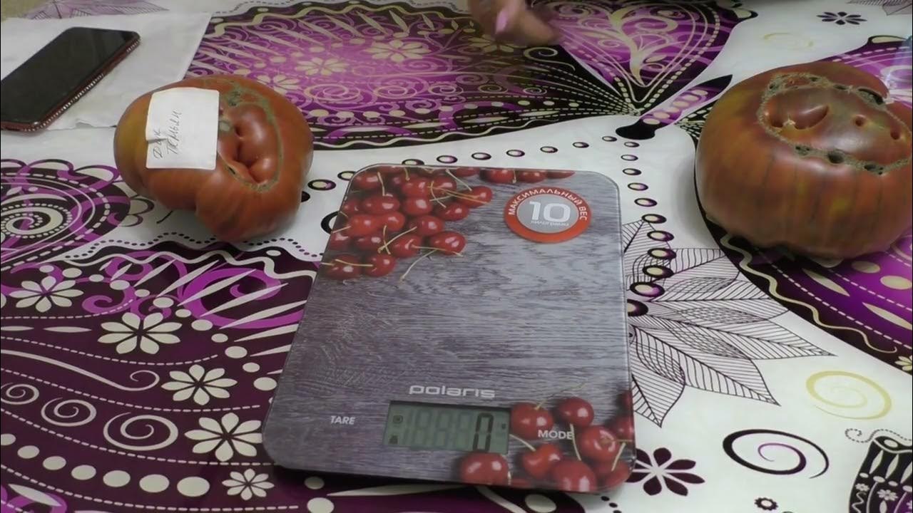 Томат ДИКИЙ ТИМЬЯН посадите обязательно - YouTube