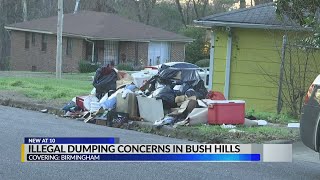 Illegal Dumping Concerns In Bush Hills