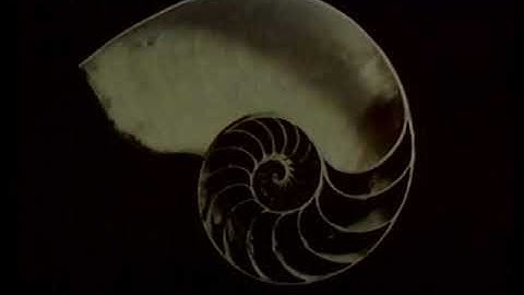 OU course M101 (Maths Foundation Course) Ep 28 of 32 Block 6 Unit 1 Complex Numbers (1977)