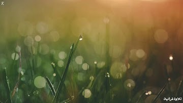 أجمل تلاوة ما تيسر من {سورة هود} القارئ 《رعد الكردي》