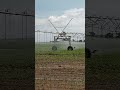 Hoje consegui ver o Corner em operação. Sempre que vinha na Santa Isabel. Bem legal o funcionamento!