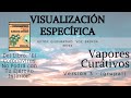 VISUALIZACIÓN ESPECIFICA - VAPORES CURATIVOS - Versión 3 (grupal)