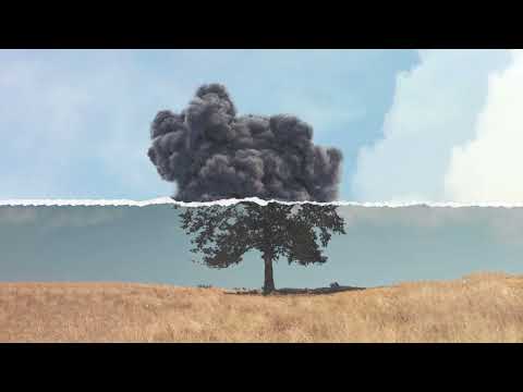 Wilkinson - On
