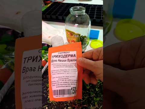 Триходерма-враг наших врагов.