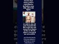 ਚੌਂਕੀਦਾਰ ਹੀ ਚੌਰ ਹੈ। #punjabinews #punjab #punjabpolice #punjabinewspost