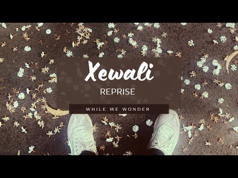 Xewali Reprise   WhileWeWonder  Official Music Video 