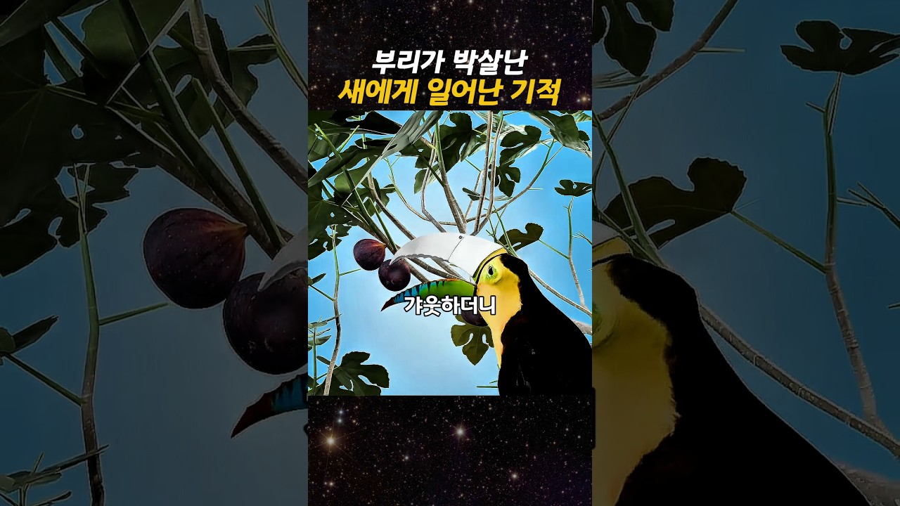 부리가 박살난 새에게 일어난 기적 썸네일