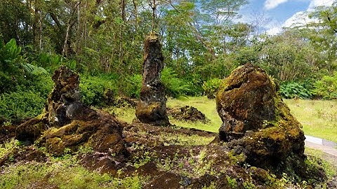 Flow State Training - How To Enter A 