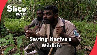 Nariva: Guardian of Trinidad's Wildlife | SLICE WILD | FULL DOC