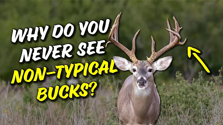 The surprising reason bucks develop non-typical antlers
