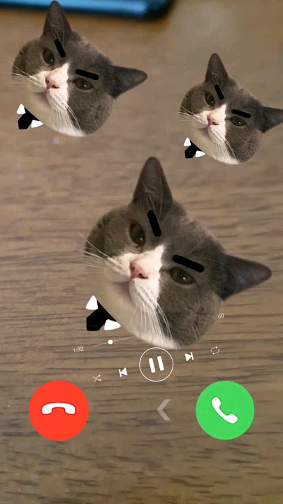 #status MI TELEPON SOUND EFFECT #cat  #shorts #ringtone #short ☎️Ns