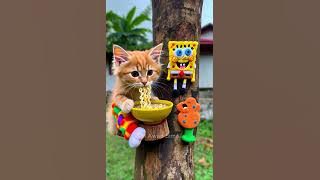 Biasalah #cat #kartunkucing #funny
