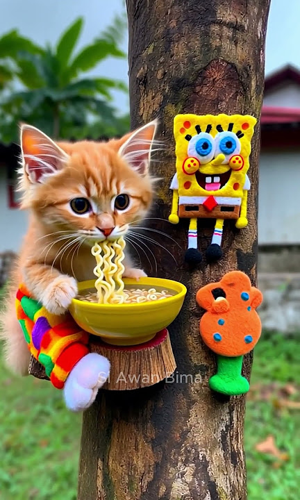 Biasalah #cat #kartunkucing #funny