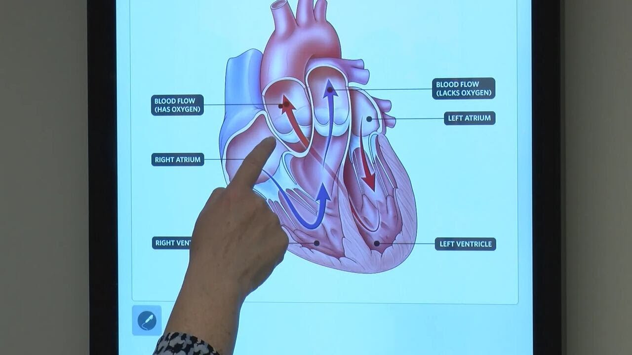 February is American Mental Health Month