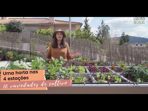 Vídeo: Delphinium perene: descrição das variedades, plantio e cuidados, reprodução