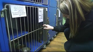 Propellus: AARCS Transform Your Story Fund YouTube