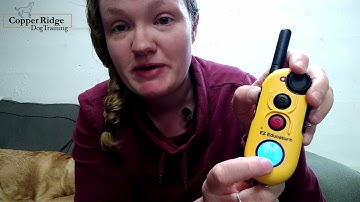 Getting to know your E-Collar Technologies EZ 902 system