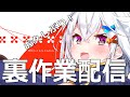 テストも兼ねて！作業？？？配信をします！お久しぶりです！【作業しない】