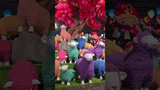 Download Lagu Domba sheep warna warni MP3