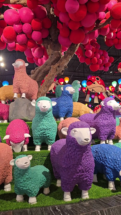 Domba sheep warna warni