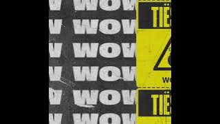 Tiësto - WoW(Intro Edit)