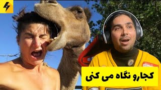 میکس خنده دار ایرانی خارجی 😂 وقتی فیل می گوزه
