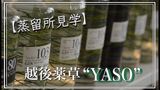 【ジン好き必見】越後薬草YASOジンの製造見学