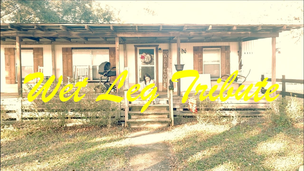 Wet Leg's Chaise Longue Fan Tribute Video! YouTube