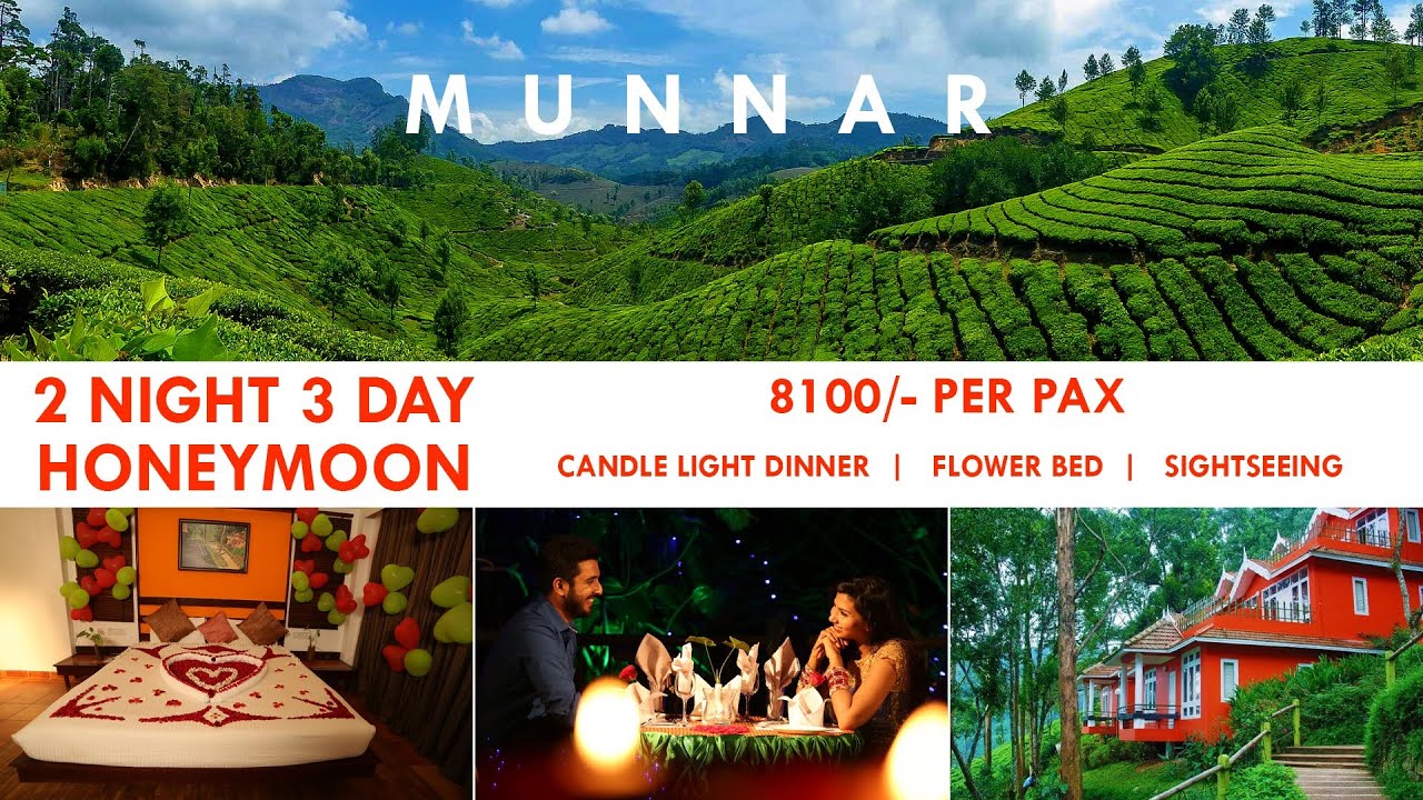 munnar honeymoon trip package