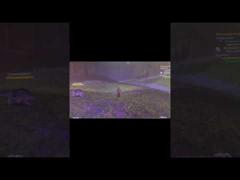 E do nada acordei con vontade de tomar o servidor de WoWClassic. #wow