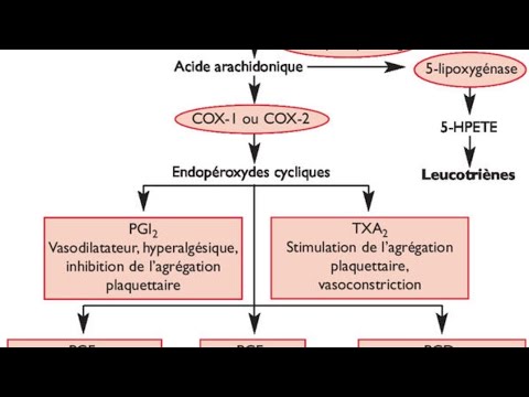 Vidéo: 4 façons simples de réduire les prostaglandines