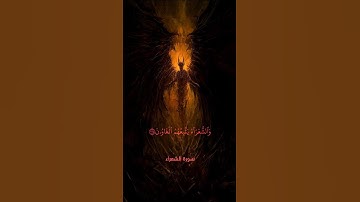 رعد الكردي سورة الشعراء