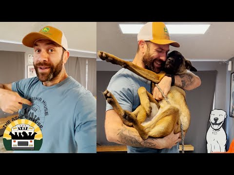 Video: „Pet Scoop“: aklas šuo išgelbėjo po mėnesių gerai, žmogus gauna šunį atgal į vaizdo įrašą