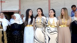 Fadile Kız Fadile Duzo Halayı - Urfa Şevko - Kurdish Wedding