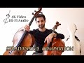 Stradivarius sound comparison! 1694 vs 1696 ( Early period) 4K Video HI-FI Audio ( subs en Español)