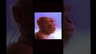 حزين القرد 😳😳😳😳😳😭😭😭😭😚😚