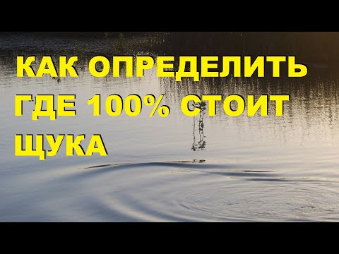 ДЕД из Пятёрочки РАССКАЗАЛ как ОПРЕДЕЛИТЬ где 100 стоит ЩУКА! [+ для новичков] SeMano TV