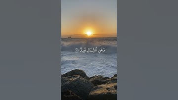 قران الكريم القارئ احمد القطامي سوره ق  #قران_كريم#قرآن#آية_الكرسي#سورة_ق