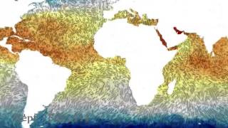 Procedural texture synthesis for zoom-independent visualization of multivariate data