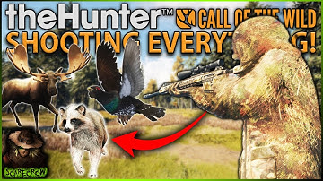 Hunting EVERYTHING On Revontuli Coast Got Us A Piebald Raccoon Dog! Call of the wild