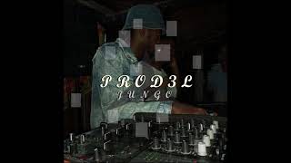 Prod3L Jungo