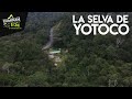 YOTOCO LA SELVA ATRAVESADA POR UNA CARRETERA || CaminanTr3s, El tercero eres tú!!