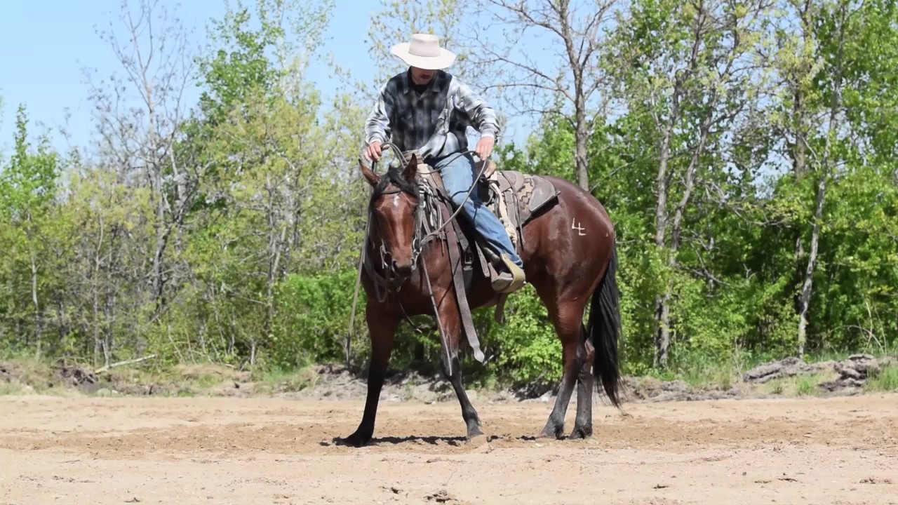 Start Of The Turn Around YouTube