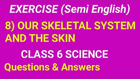 6 th science exercise our skeletal system and the skin#class 6 exercise chapter 8#class 6 science