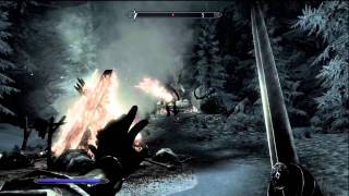 The Elder Scrolls V: Skyrim (360) - PFP Review