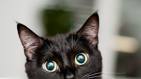 Kami No Kotoba 100% Layout By Me